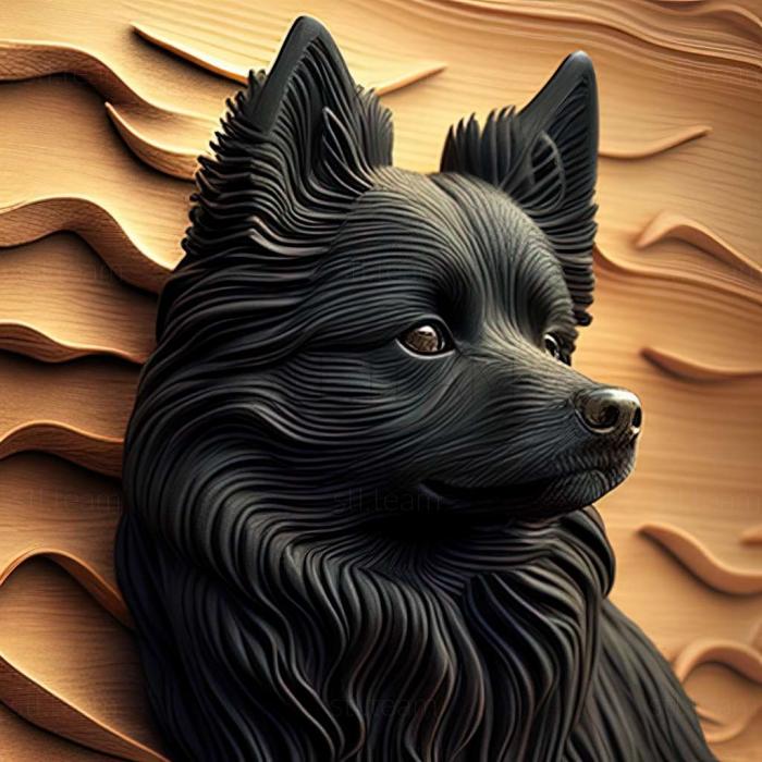 3D model Schipperke dog (STL)